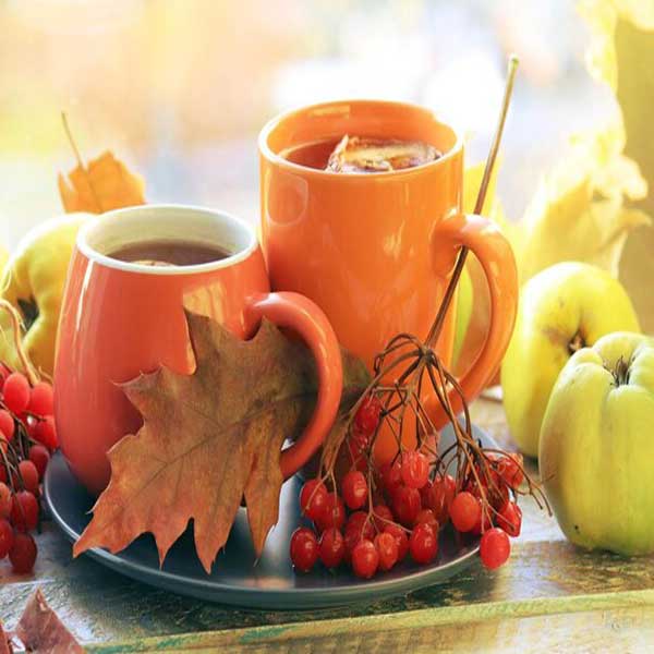 طرز تهیه چای به خوشرنگ و خوشمزه با هل و دارچین چای به برای چی خوبه  چای به و هل  چای به گرم است یا سرد   طرز تهیه چای به Quince fruit  ]hf fi 
