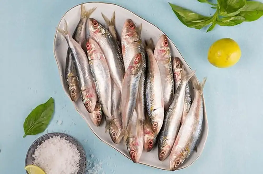 طرز تهیه کوکو حشینه