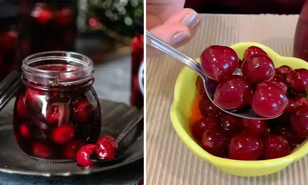 طرز تهیه ترشی آلبالو خانگی، ترشی آلبالو، طرز تهیه ترشی آلبالو بدون سرکه، ترشی آبلالو، خاصیت ترشی آلبالو، ترشی آلبالو، ترشی آلبالو با آب نمک، ترشی آلبالو ملس، jvad Hgfhg,
