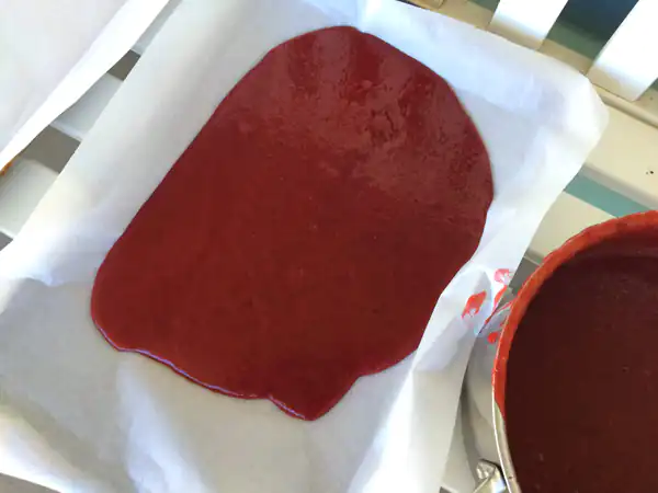 طرز تهیه لواشک آلو