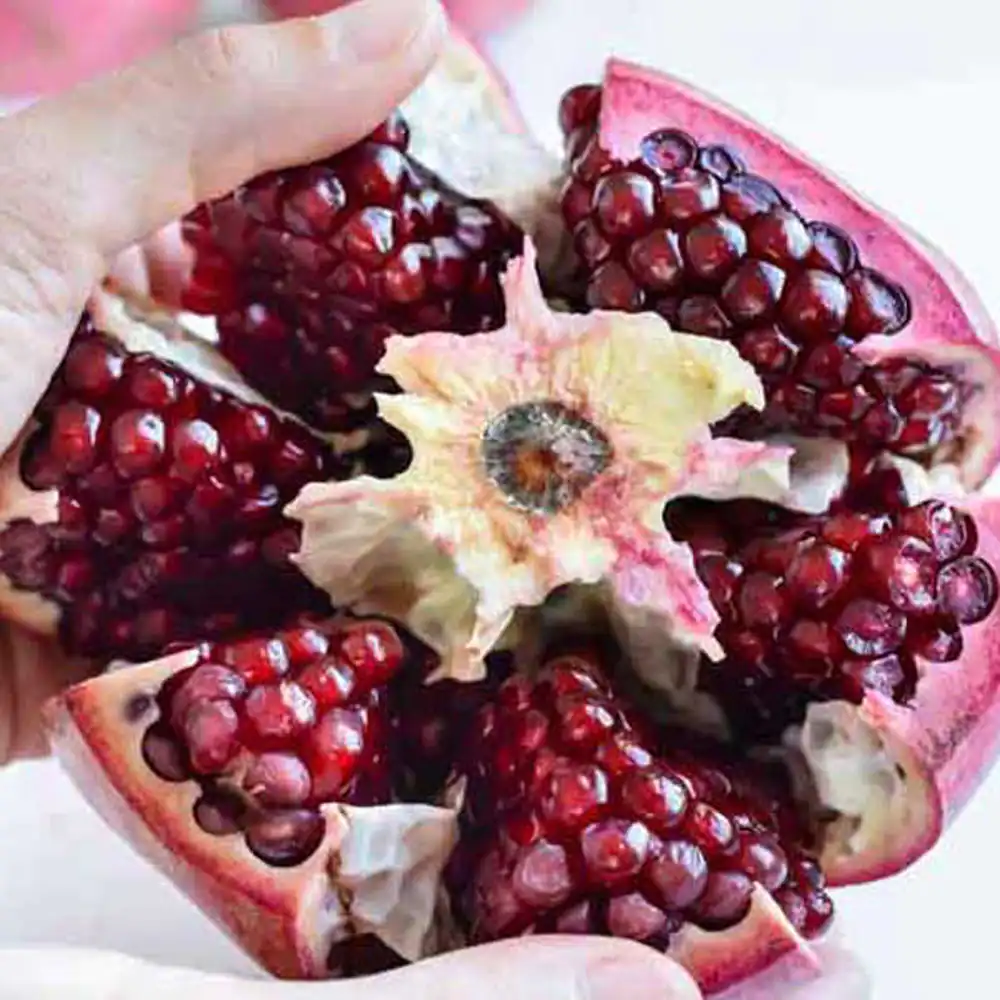 طرز تهیه چای انار