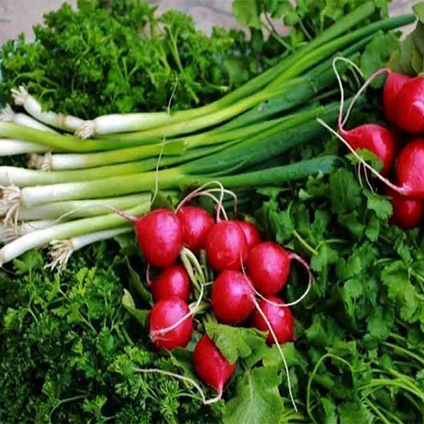 تازه نگه داشتن سبزی خوردن