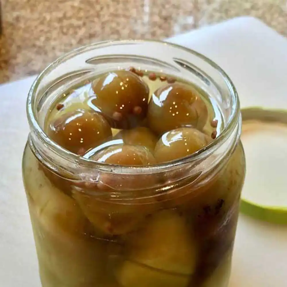 طرز تهیه انواع ترشی برای عروس،طرز تهیه ترشی گوجه سبز با آب نمک،طرز تهیه ترشی گوجه سبز با سرکه قرمز،فیلم طرز تهیه ترشی گوجه سبز،طرز تهیه ترشی گوجه سبز شور،ترشی گوجه سبز با رب انار،طرز تهیه ترشی گوجه فرنگی سبز،طرز تهیه ترشی لیته گوجه سبز
