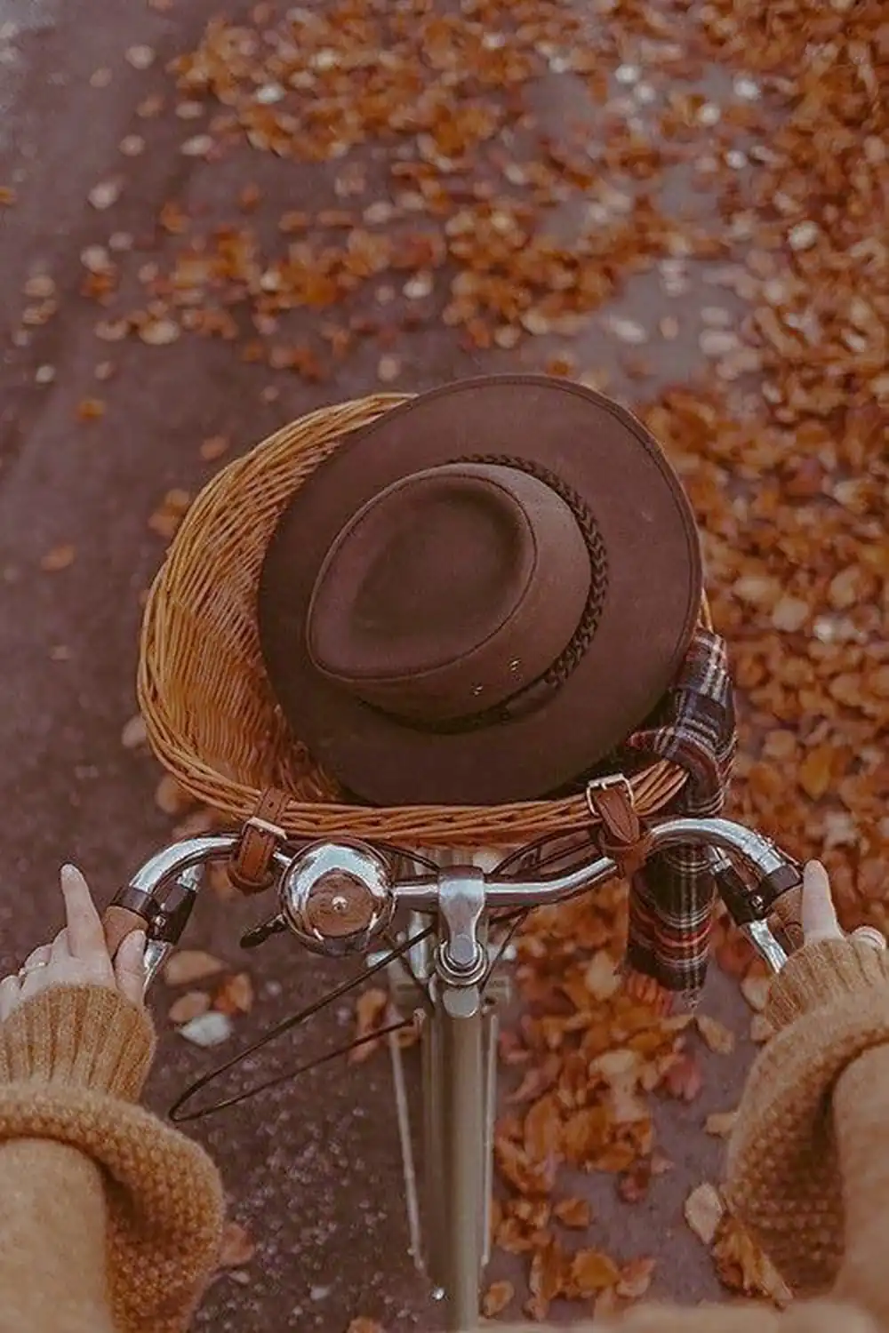 عکس هنری پاییزی