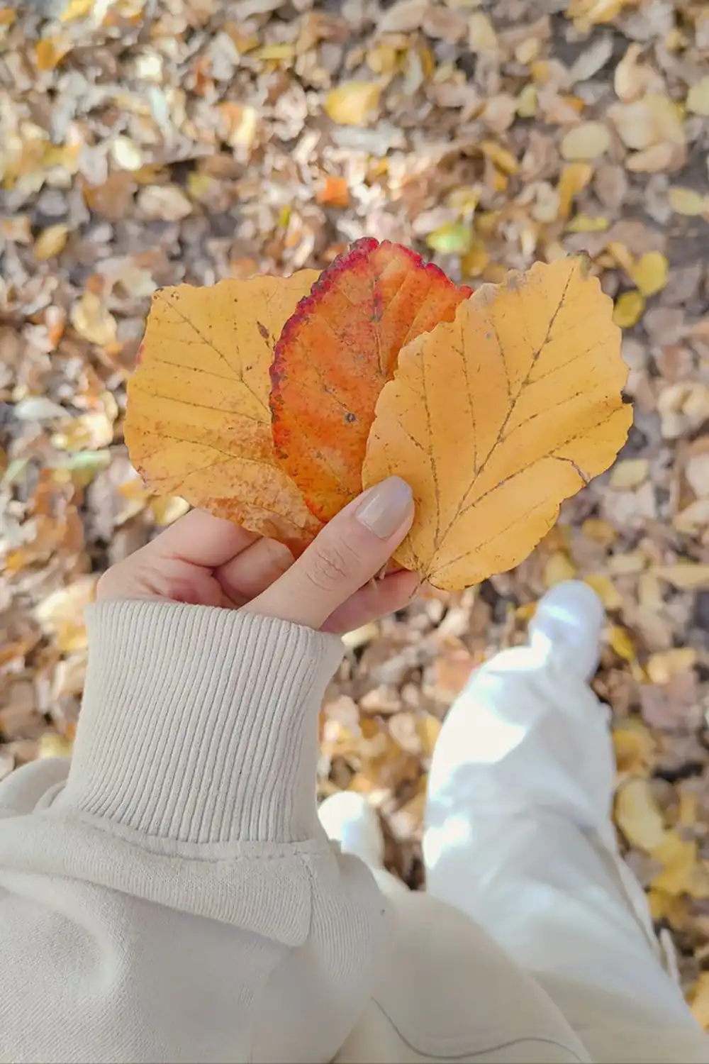 عکس پروفایل دخترانه پاییزی