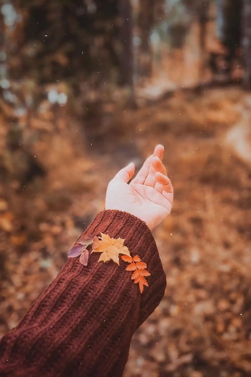 عکس پروفایل پاییزی