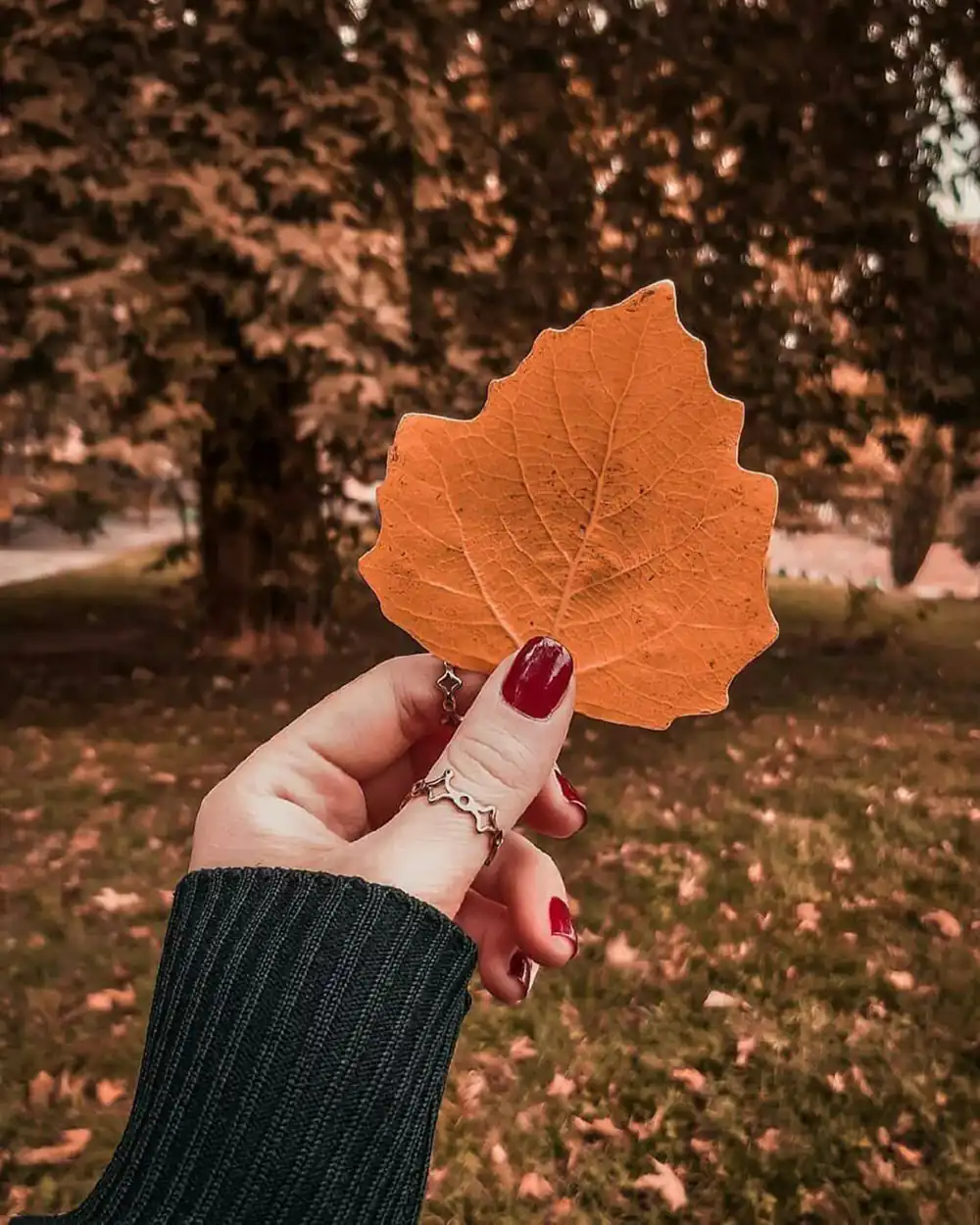 عکس پروفایل دخترانه