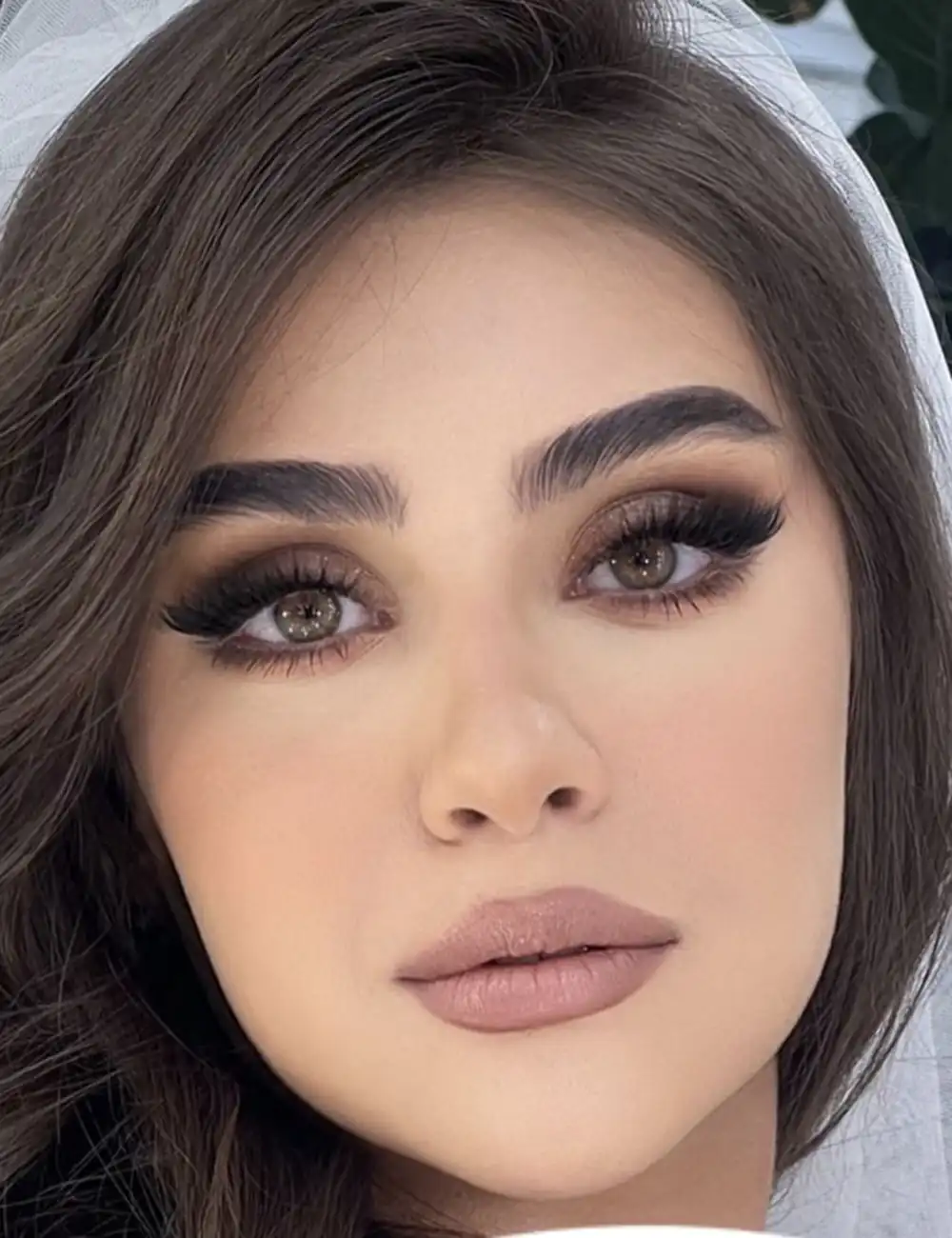 آرایش نود مجلسی