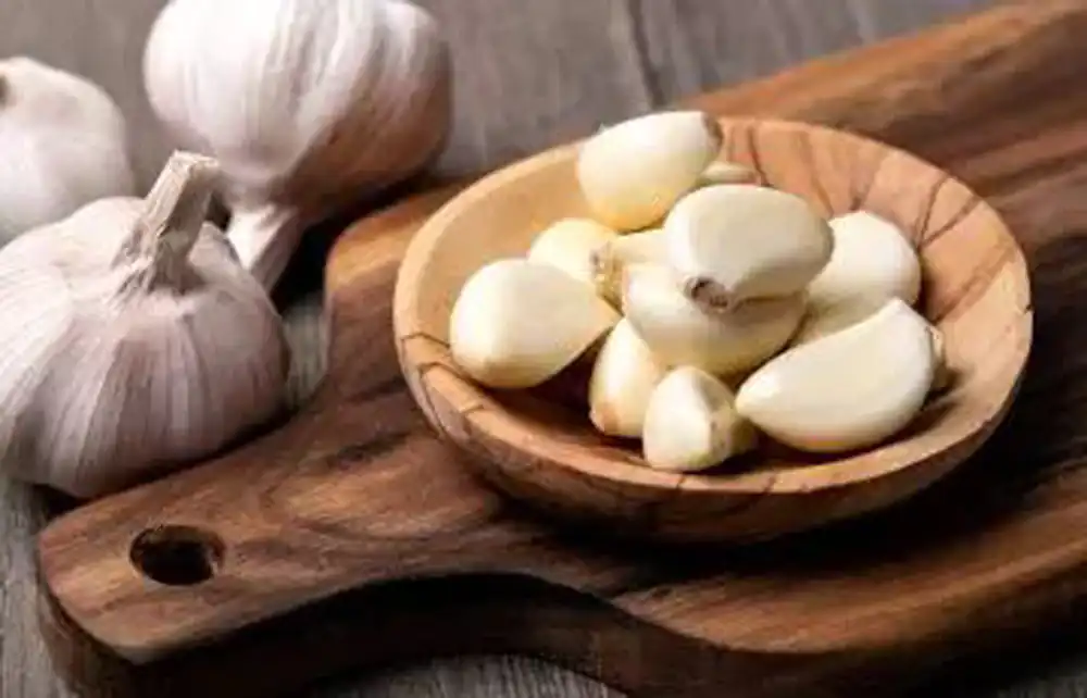 از بین بردن بوی سیر دهان