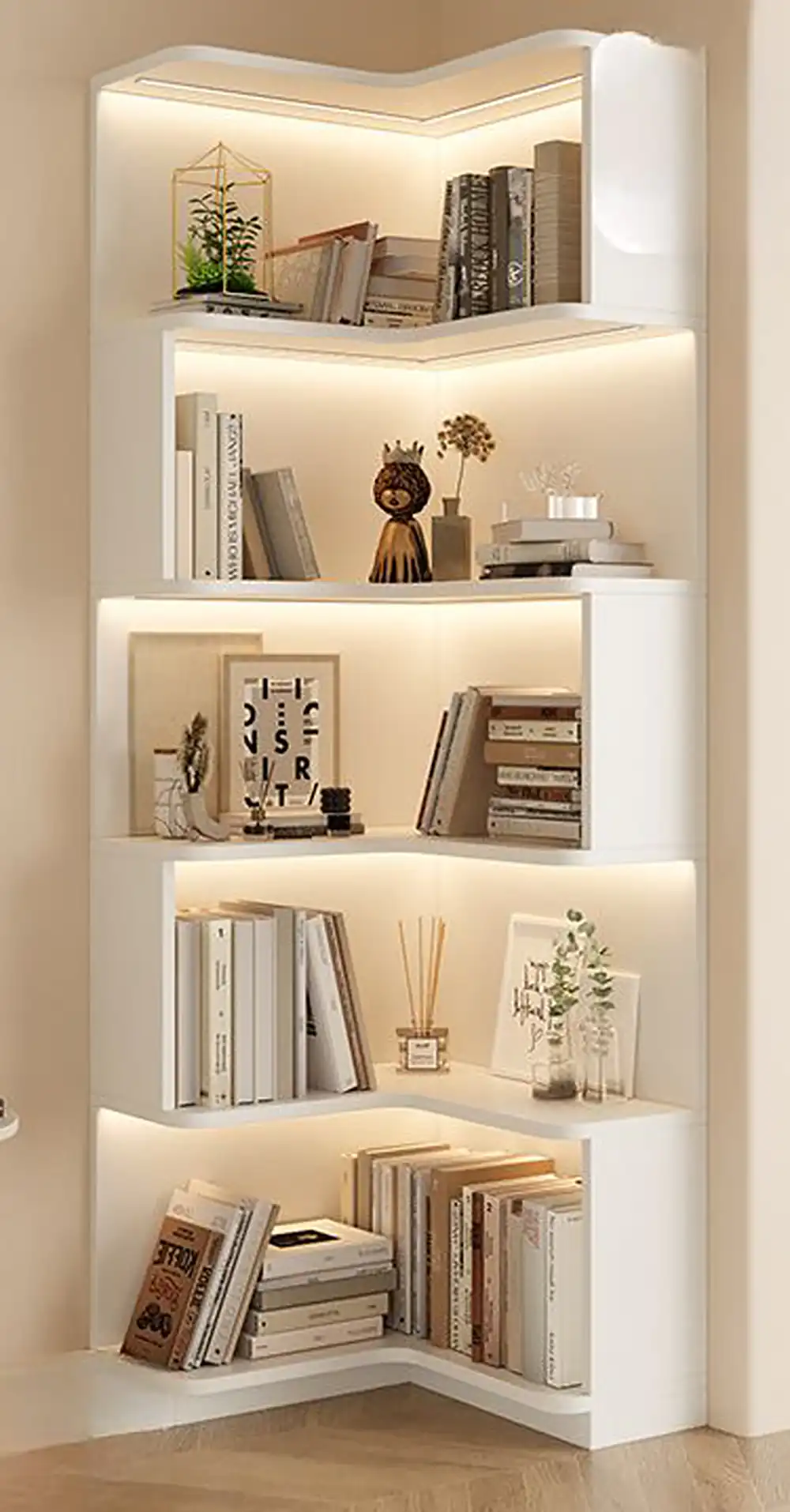 نظم دهنده کتاب
