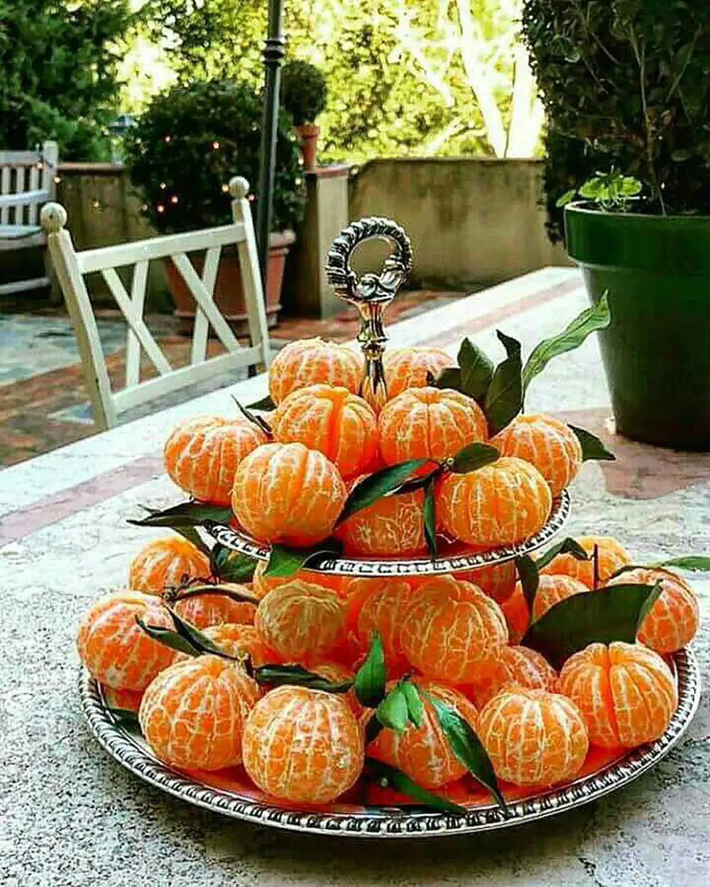 تزیین میوه شب یلدا جدید
