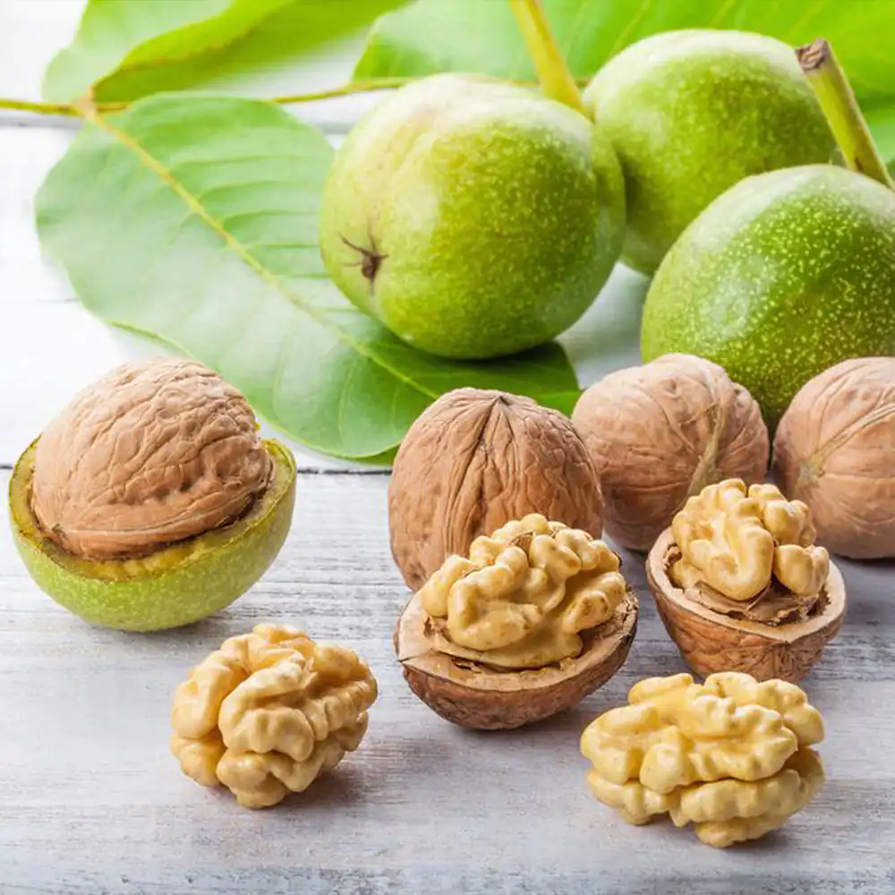 پاک کردن رنگ گردو از دست